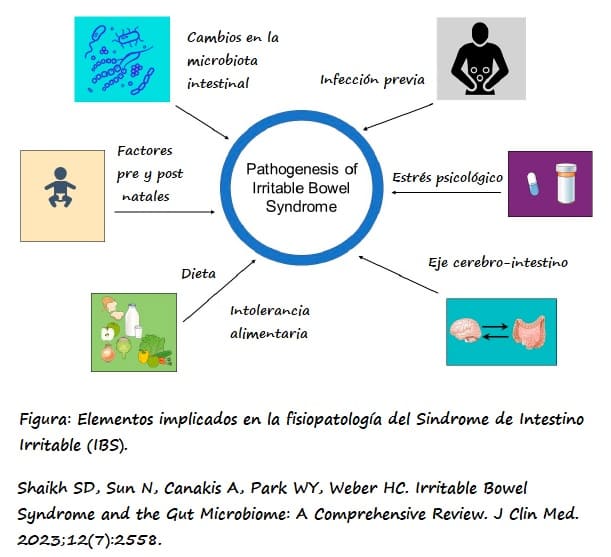 Factores implicados en la fisiopatología del IBS