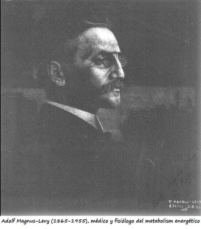 Retrato de Adolf Magnus-Levy