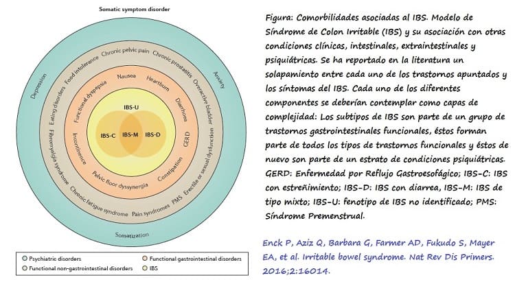 Síntomas frecuentes del IBS
