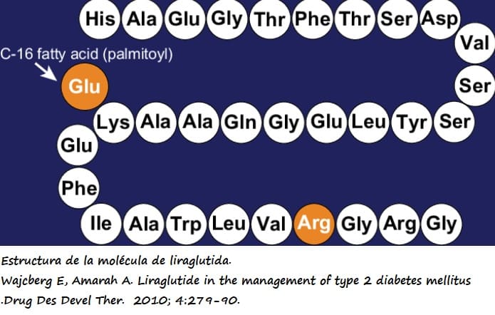 Estructura química liraglutida