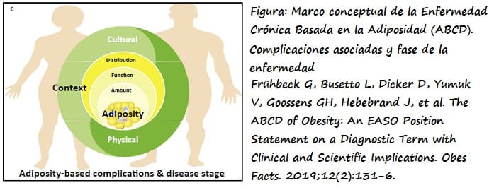 Marco conceptual de la Enfermedad MetabólIca Adiposa Crónica