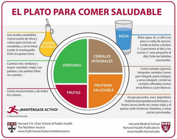 Plato para una alimentación saludable