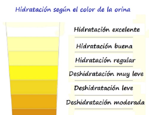 Hidratación según coloracion orina