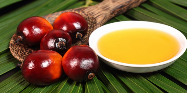 Cuchara de madera con frutos de la palma (Elaeis guineensis) y recipiente con aceite de palma
