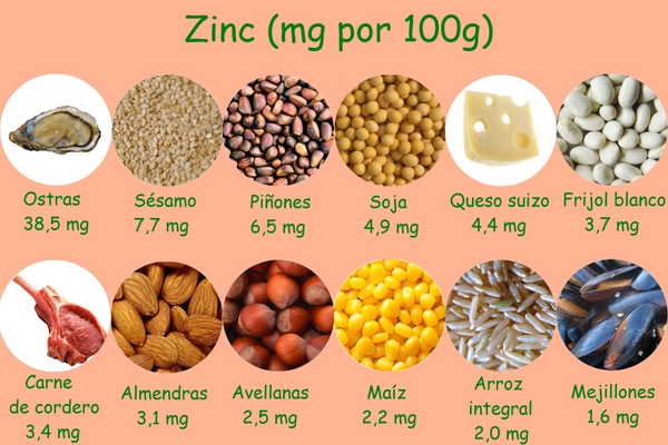 Alimentos ricos en zinc (gramos zinc/100g alimento)