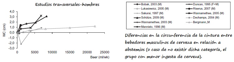Gráfica con el perímetro de cintura (abcisas) e ingesta de cerveza (ordenadas) de los estudios transversales en hombres