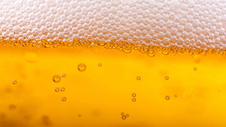 Imagen de sección trasnversal de un recipiente con cerveza