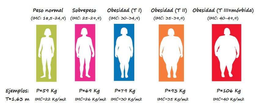 Dibujos de cuerpos con dimensiones variables acordes al IMC y ejemplos