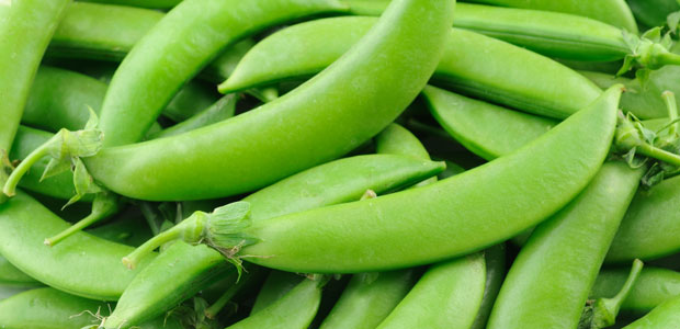 Vainas abiertas con las semillas (guisantes) de snap peas