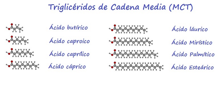 Estructura de los principales Ácidos Grasos de Cadena Media