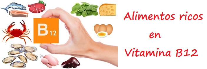 Dibujos de alimentos ricos en vitamina B12  