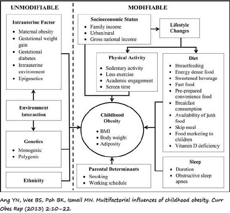 Factores causales de la obesidad
