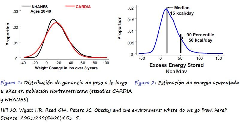 Izda: Ganancia de peso población norteamericana. Drcha: Estimación de energía acumulada