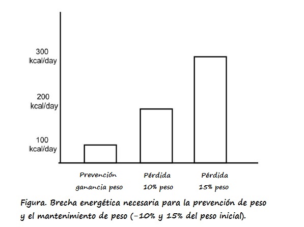 Figura: Brecha energética necesaria para la prevención de ganancia de peso y mantenimiento del peso.