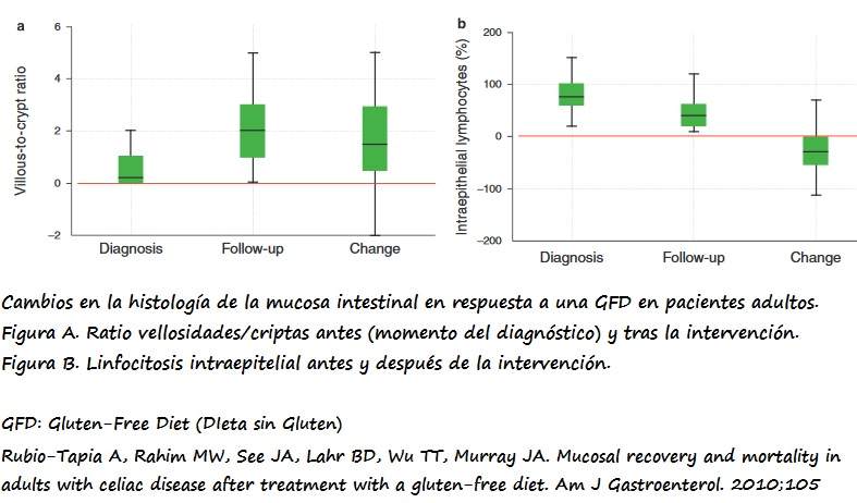 Izda: Cambios en el ratio vellosidades/criptas en respuesta a GFD. Drcha. Cambios en la linfocitosis intraepitelial en respuesta a una GFD.