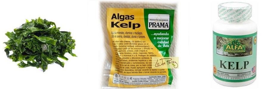 Izda: Alga kelp fresca. Centro: Alga kelp deshidratada. Drcha: Alga kelp en polvo