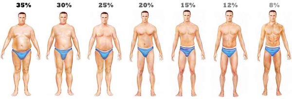 Dibujos de distintos fenotipos de composición corporal de hombres de acuerdo al % MG