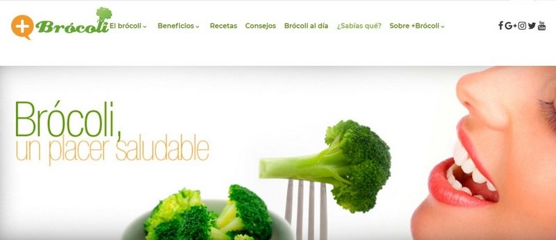 Pagina web de la Asociación para Promover el Consumo de Brócoli (+BRÓCOLI),