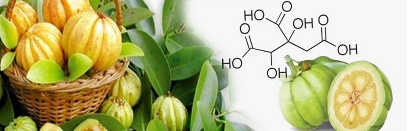 Fruto Garcinia cambogia y estructura molecular HCA