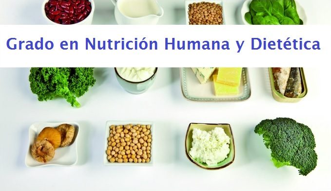 Alimentos variados