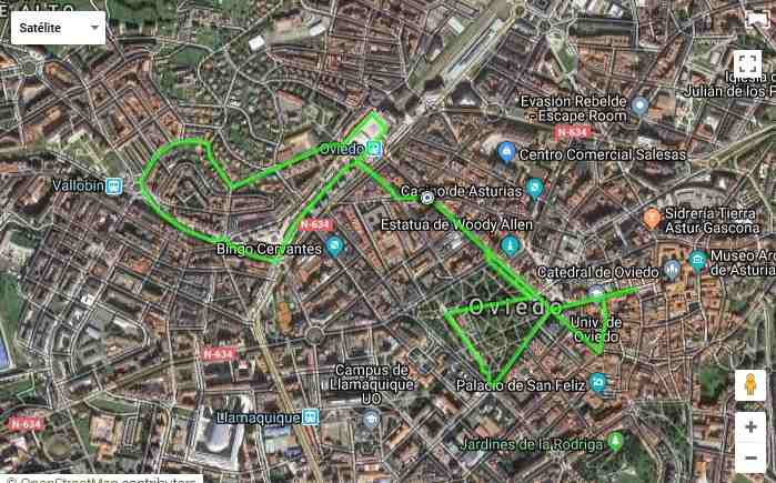 Imagen por satélite del circuito urbano de la I edición de la marcha y carrera solidaria AENFIPA