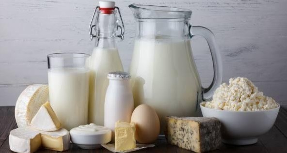 Leche y derivados lácteos Gama de productos lácteos variada