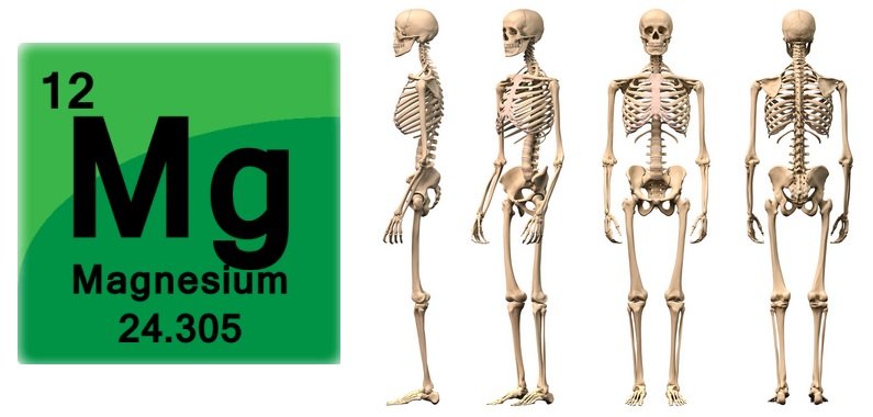 Izda: Símbolo quñimico del magnesio. Drcha: Esqueleto humano