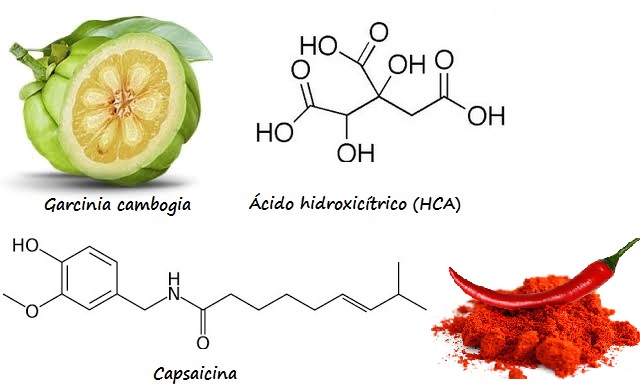 Imagenes del arbusto y/o fruto y de la estructura molecular de dos compuestos bioactivos antiobesidad: el HCA y la capsaicina