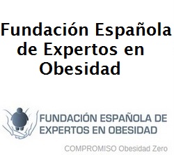 Logo de la Fundación Española de Expertos en Obesidad (FEEO)