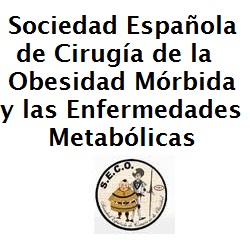 Logo de la Sociedad Española de Cirugia de la Obesidad Mórbida y de las Enfermedades Metabólicas (SECO)