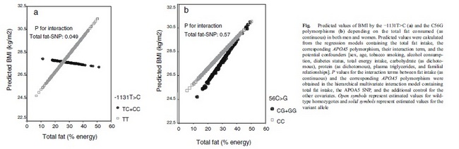 Imagen a (izquierda): -1331 T>C de APOA5, imagen b (derecha): genotipos 56 C>G de APOA5.