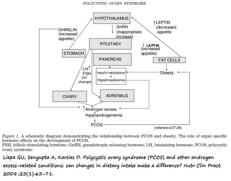 Diagrama con la fisiopatología de PCOS