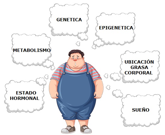 Enfermedad Metabólica Adiposa Crónica (ABCD): Un cambio en la denominación de la obesidad