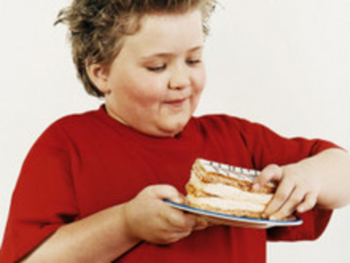 Decálogo para prevenir la obesidad infantil
