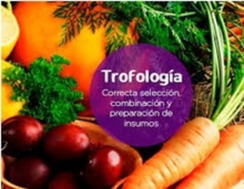 10-¿Trofólogo, dietista, nutricionista…? Aclaraciones sobre la terminología relacionada con el ejercicio de la profesión de dietista-nutrionista