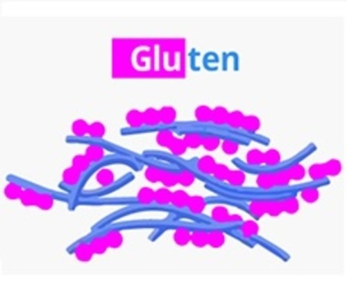Consumo de gluten en la dieta en personas sanas y riesgo de enfermedad cardiovascular: Estudio de cohortes prospectivo de  Lebwohl B et al.