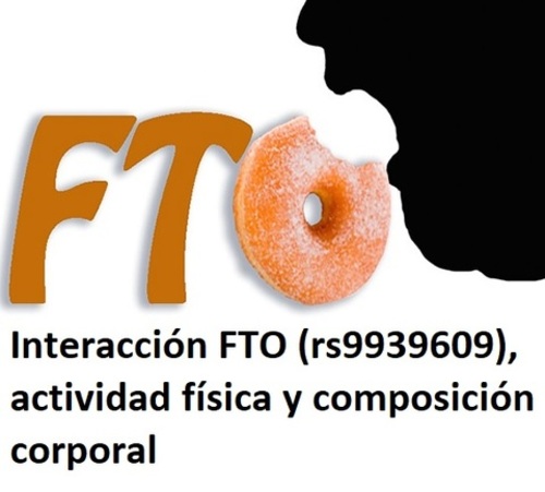Interacción gen FTO (rs9939609)-actividad física-composición corporal
