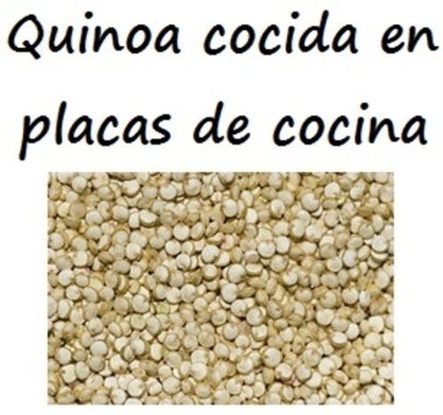 Quinoa cocida en placas de cocina