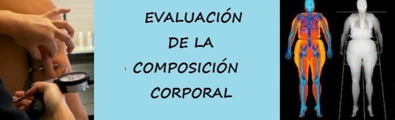 Imagen de seccin