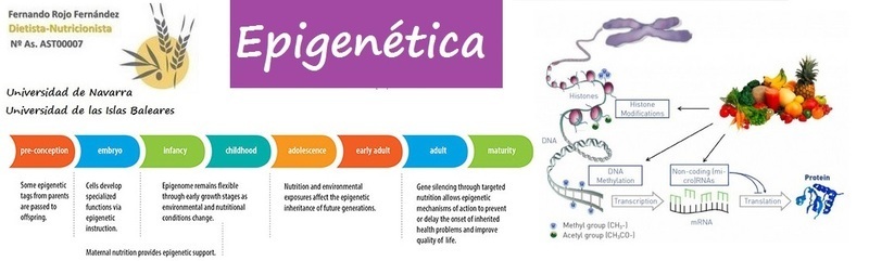 Imagen de seccin